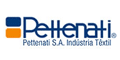 Histórico de dividendos PTNT3 (ON) - PETTENATI