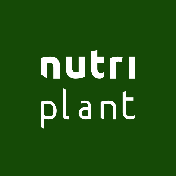 Histórico de dividendos NUTR3 (ON) - NUTRIPLAN